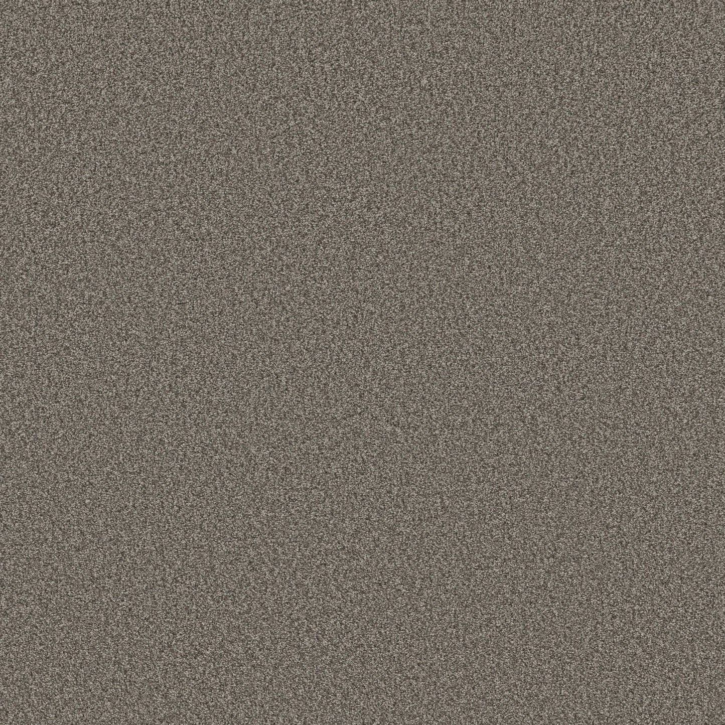 BERBER CUT PILE