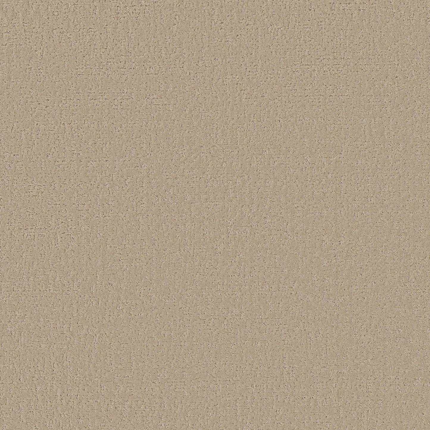 CUT UNCUT  R
