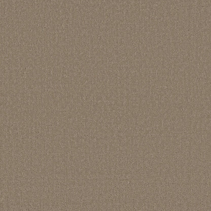 CUT UNCUT  R