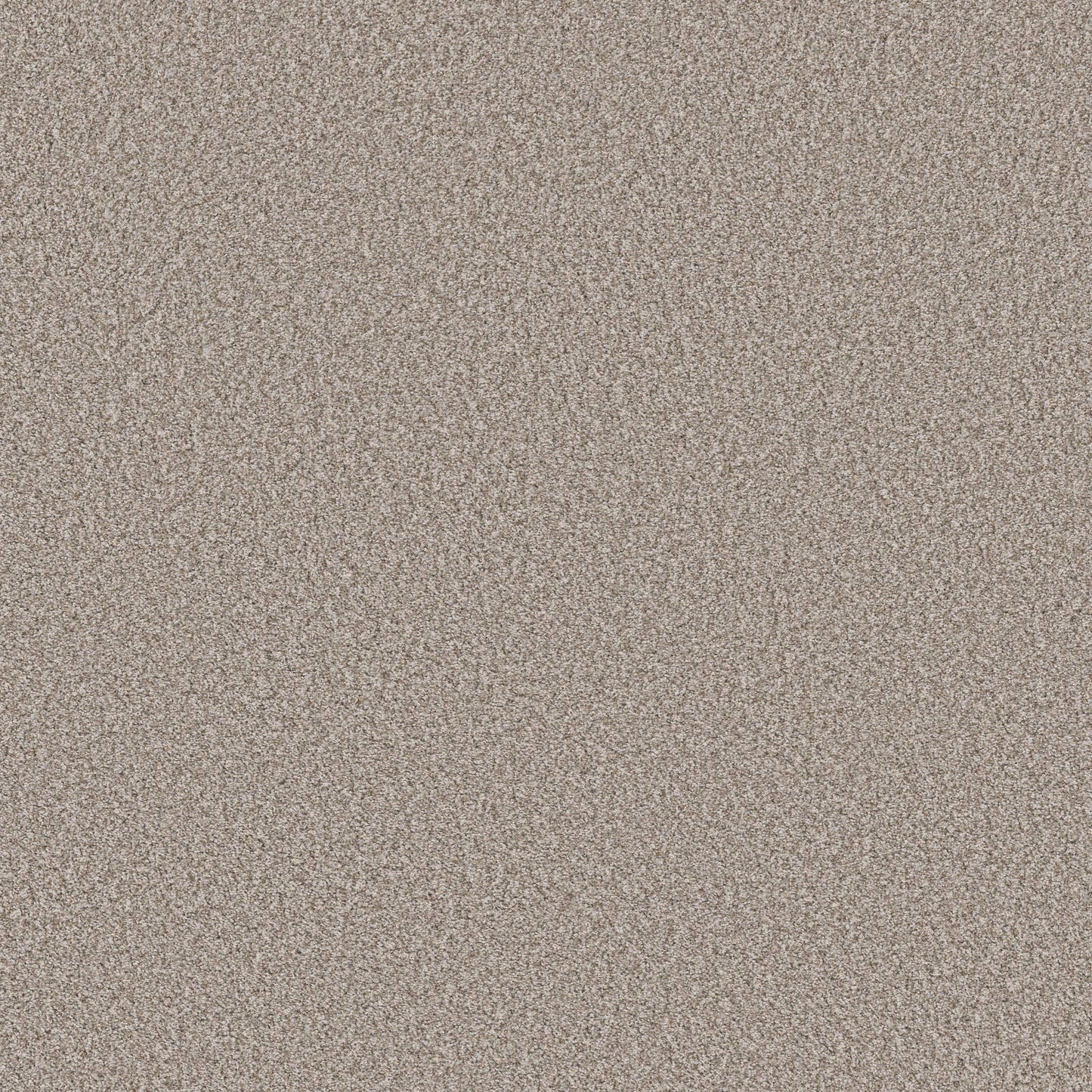 TEXTURE BCF