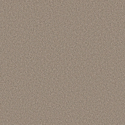 TEXTURE BCF