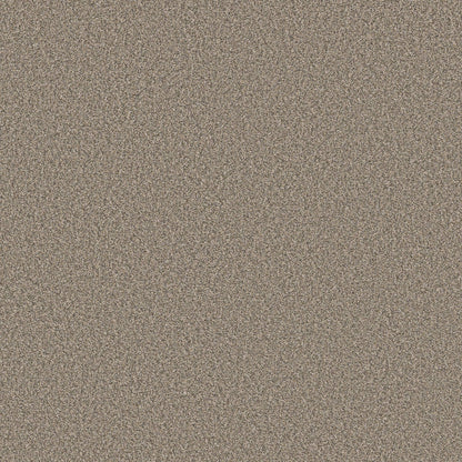 TEXTURE BCF