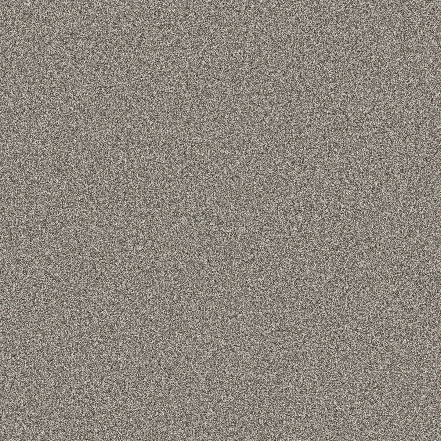 TEXTURE BCF