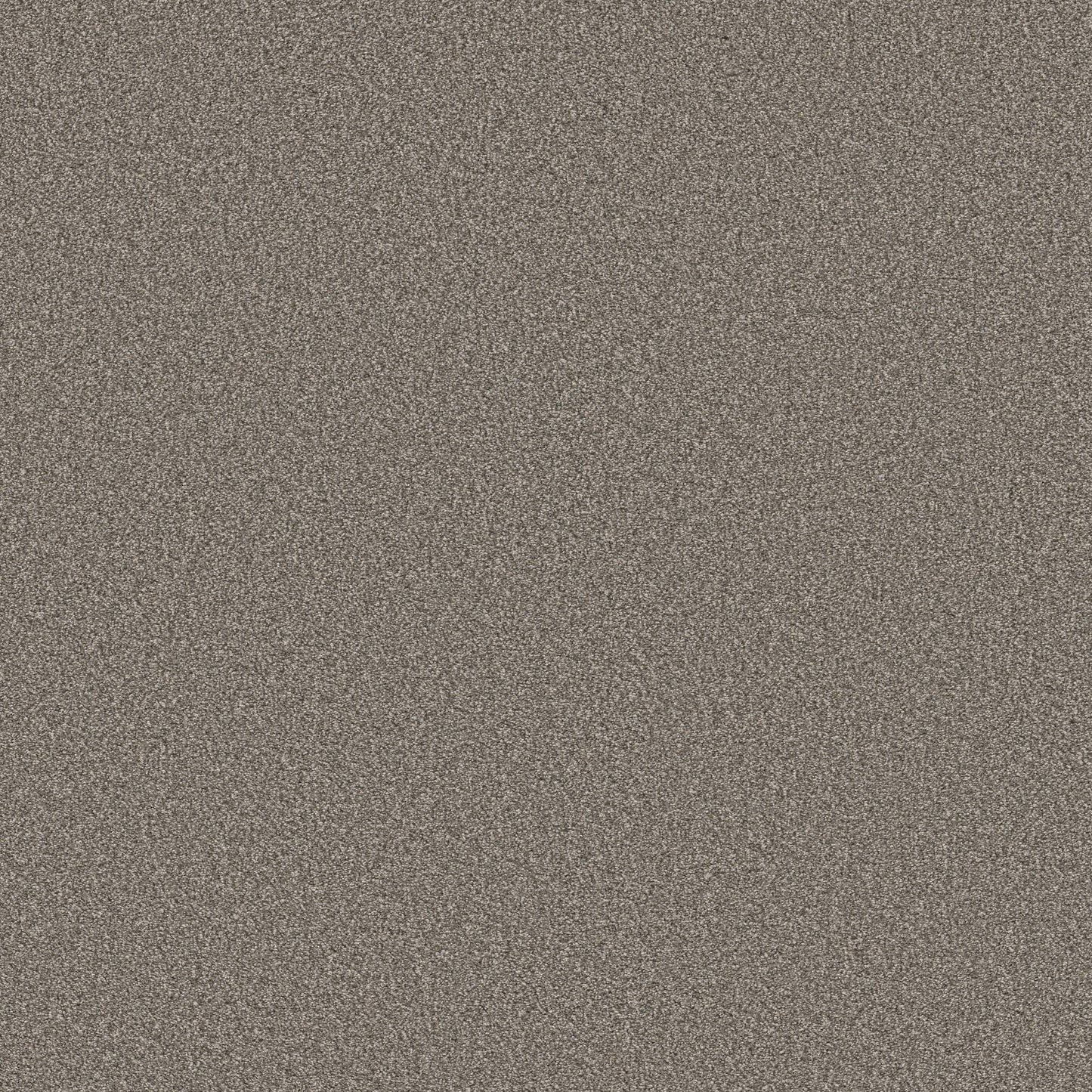 TEXTURE BCF