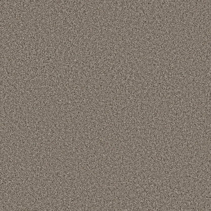 TEXTURE BCF