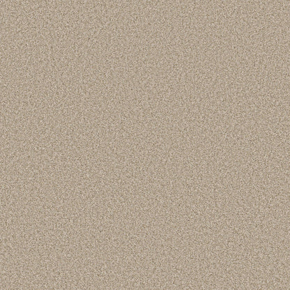TEXTURE BCF