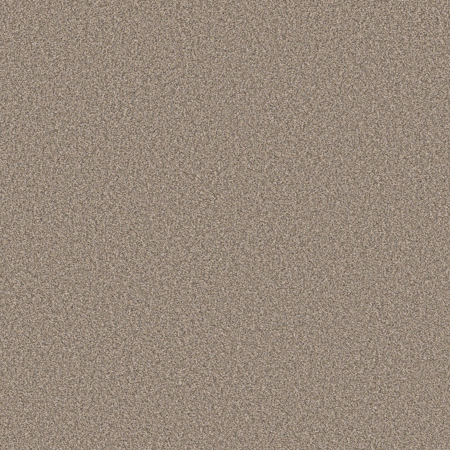 TEXTURE BCF