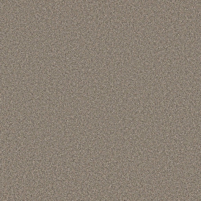 TEXTURE BCF