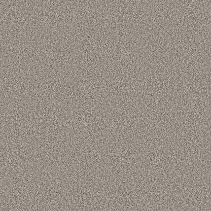 TEXTURE BCF