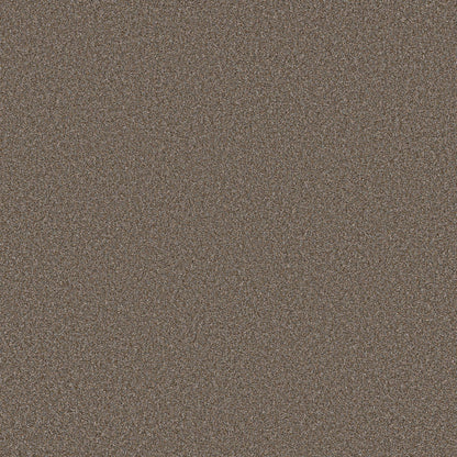 TEXTURE BCF