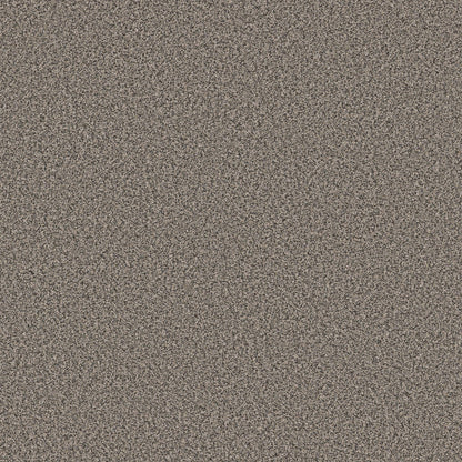 TEXTURE BCF
