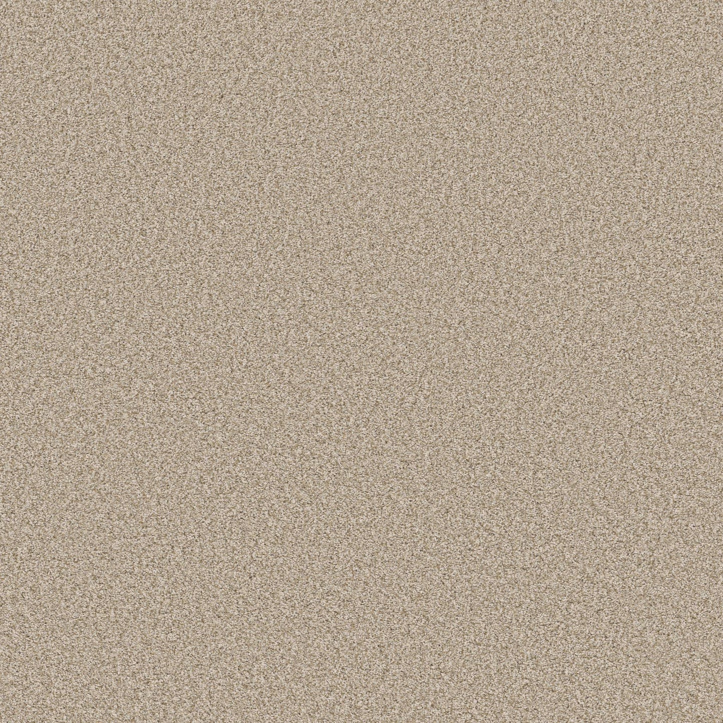 TEXTURE BCF