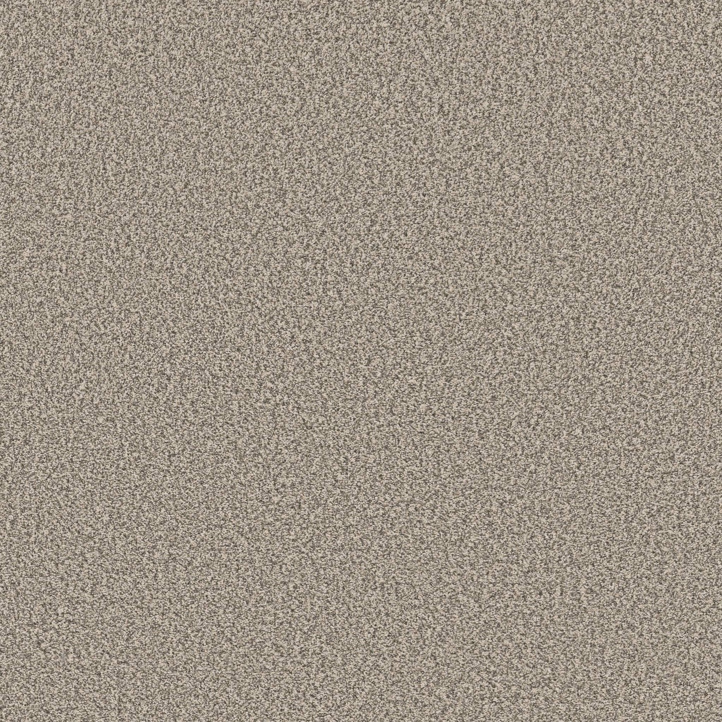 TEXTURE BCF
