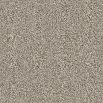TEXTURE BCF