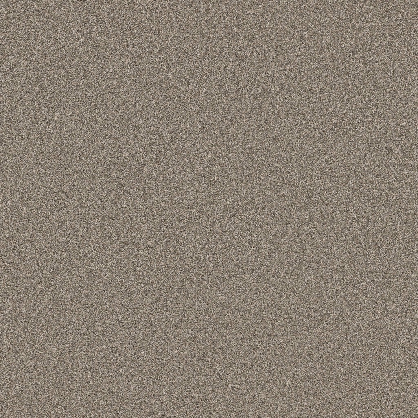TEXTURE BCF