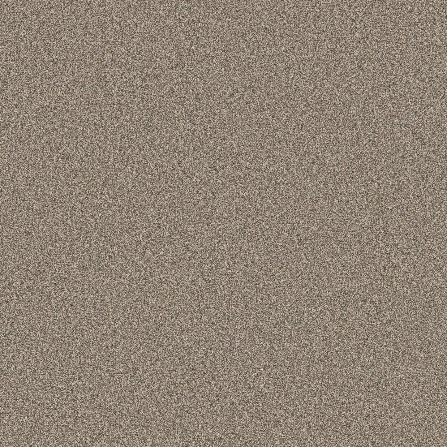 TEXTURE BCF