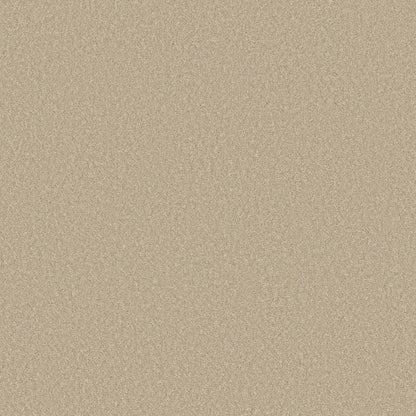PET BCF