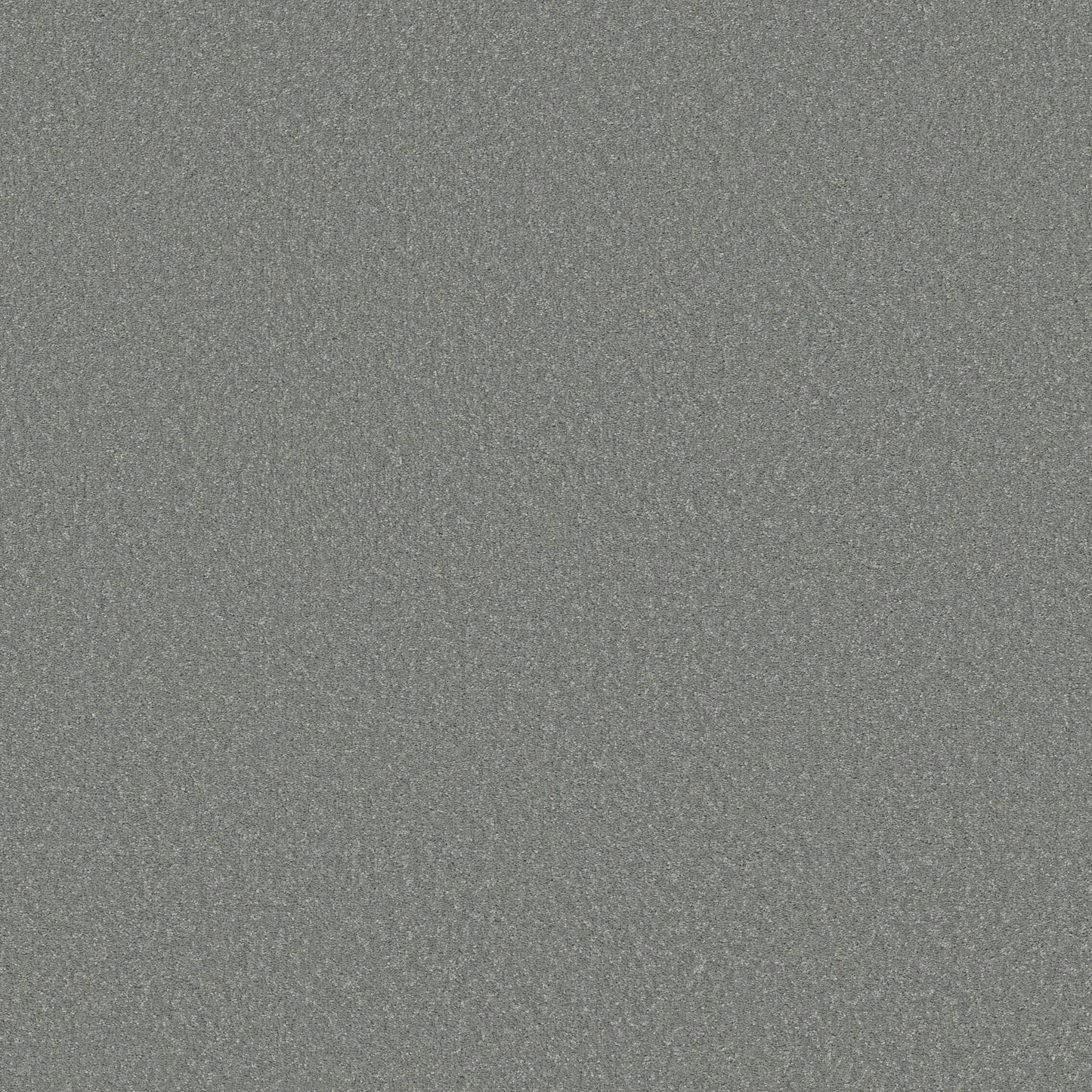 PET BCF
