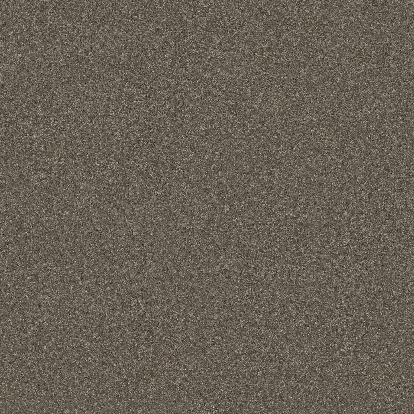 PET BCF