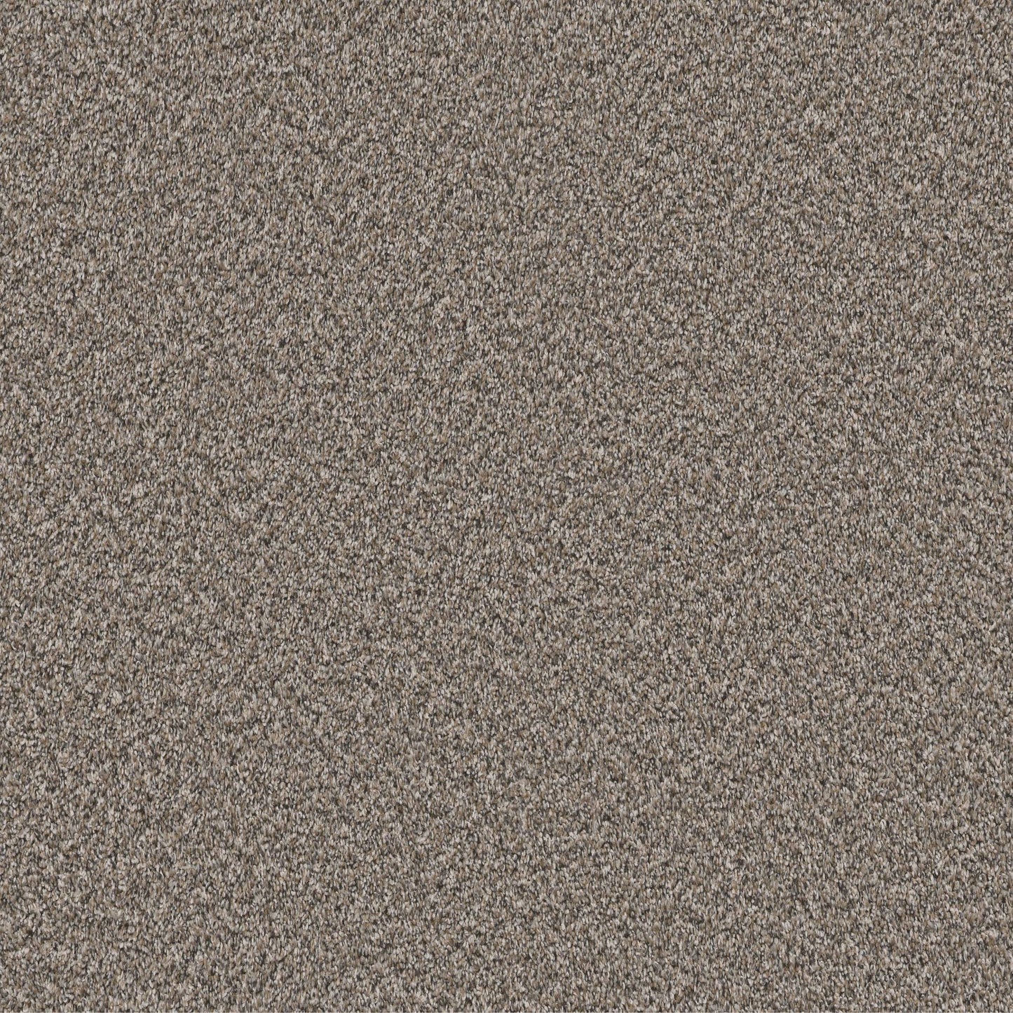 PET BCF