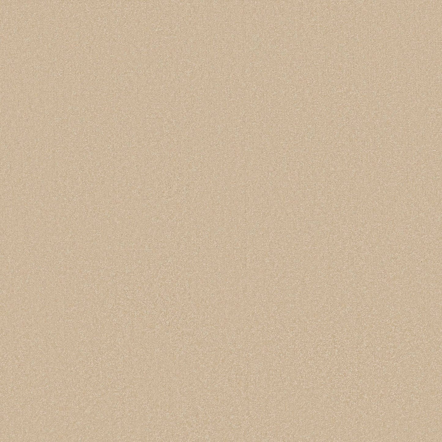 TEXTURE BCF