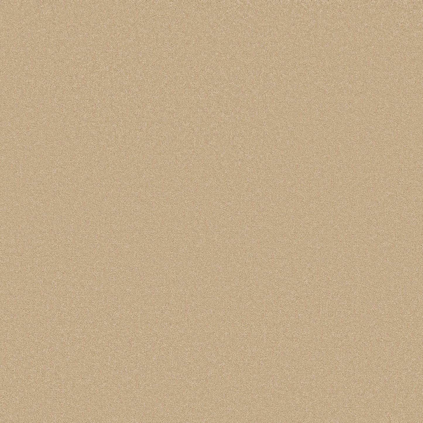 TEXTURE BCF