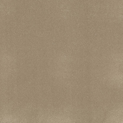TEXTURE BCF