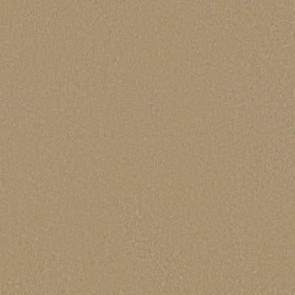 TEXTURE BCF