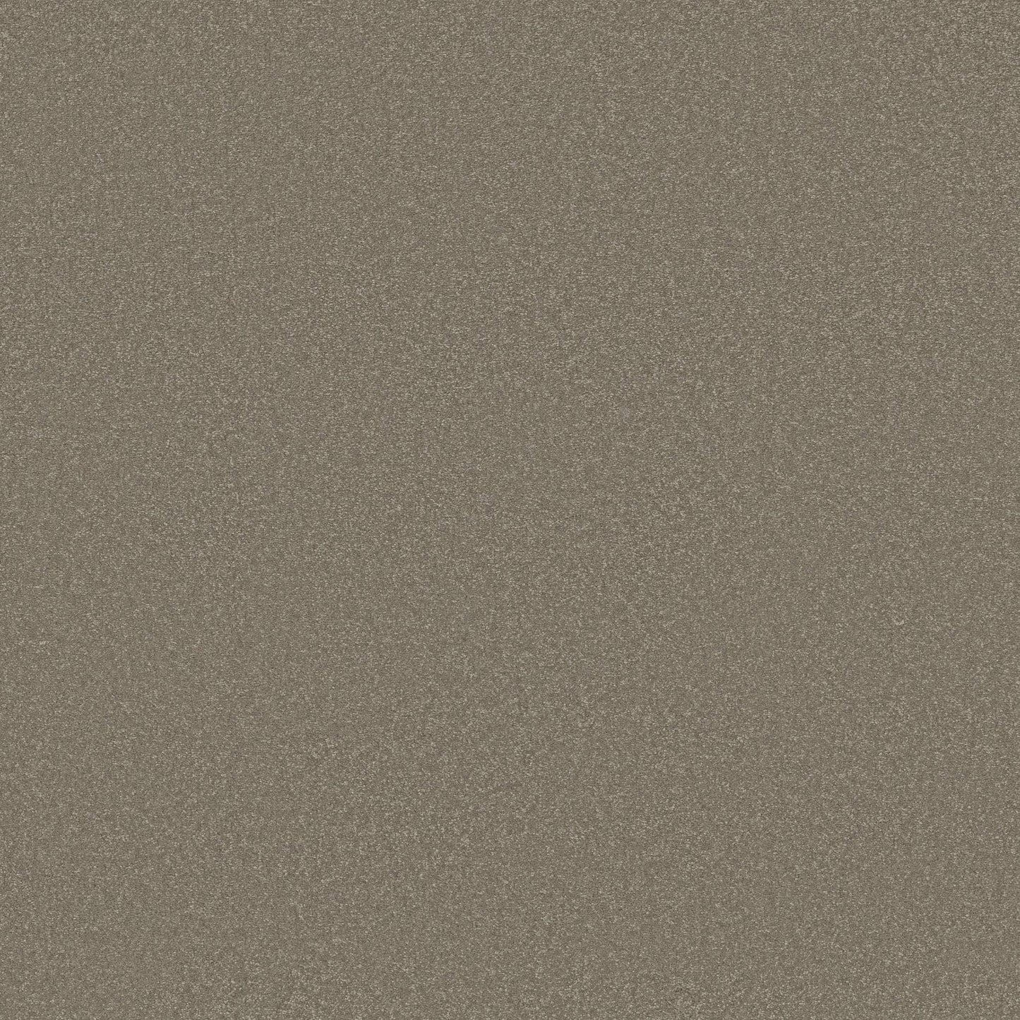 TEXTURE BCF