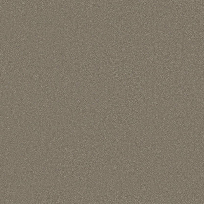 TEXTURE BCF