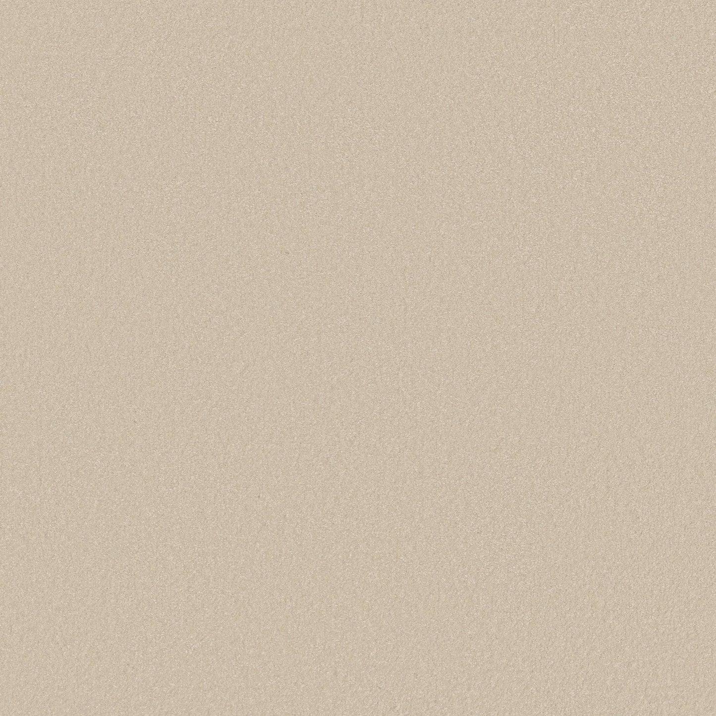TEXTURE BCF