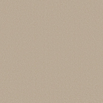 TEXTURE BCF