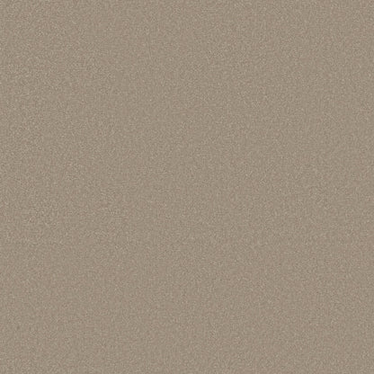TEXTURE BCF