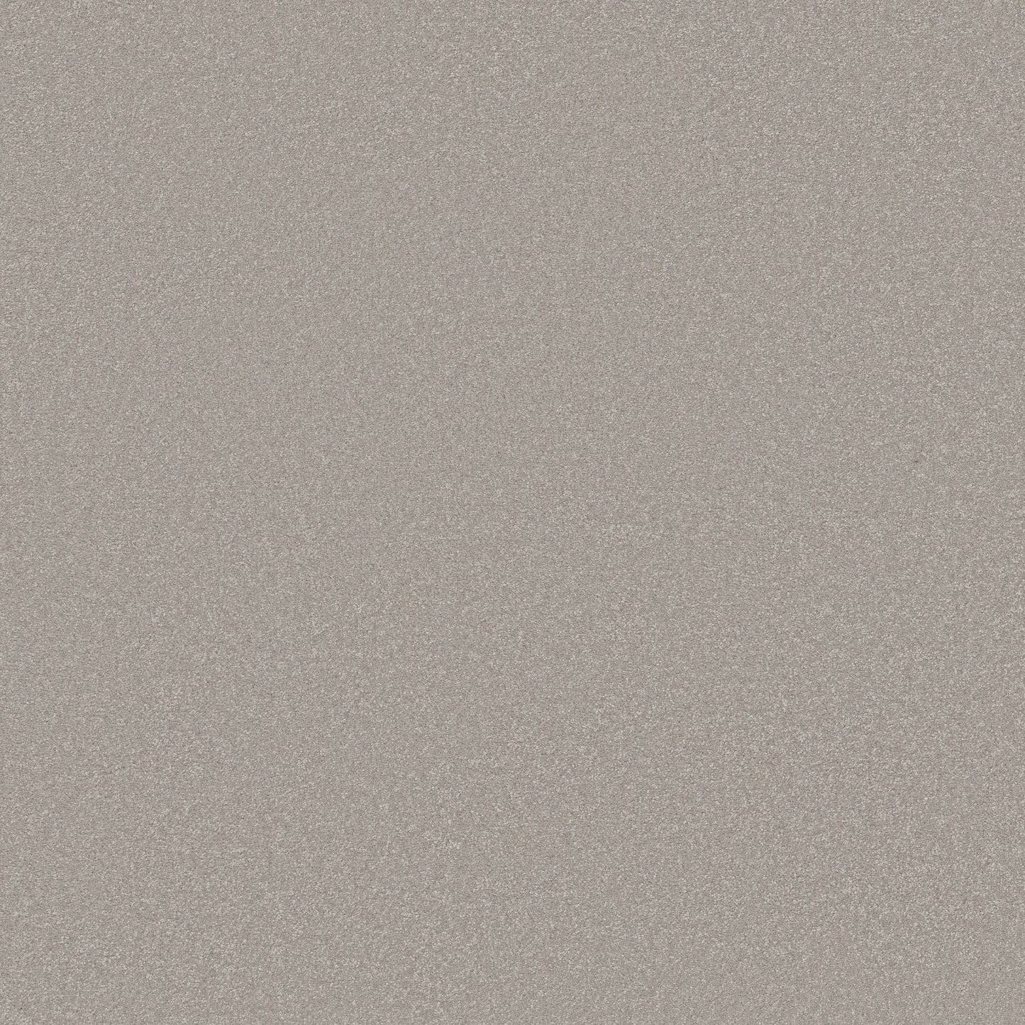 TEXTURE BCF