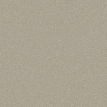 TEXTURE BCF