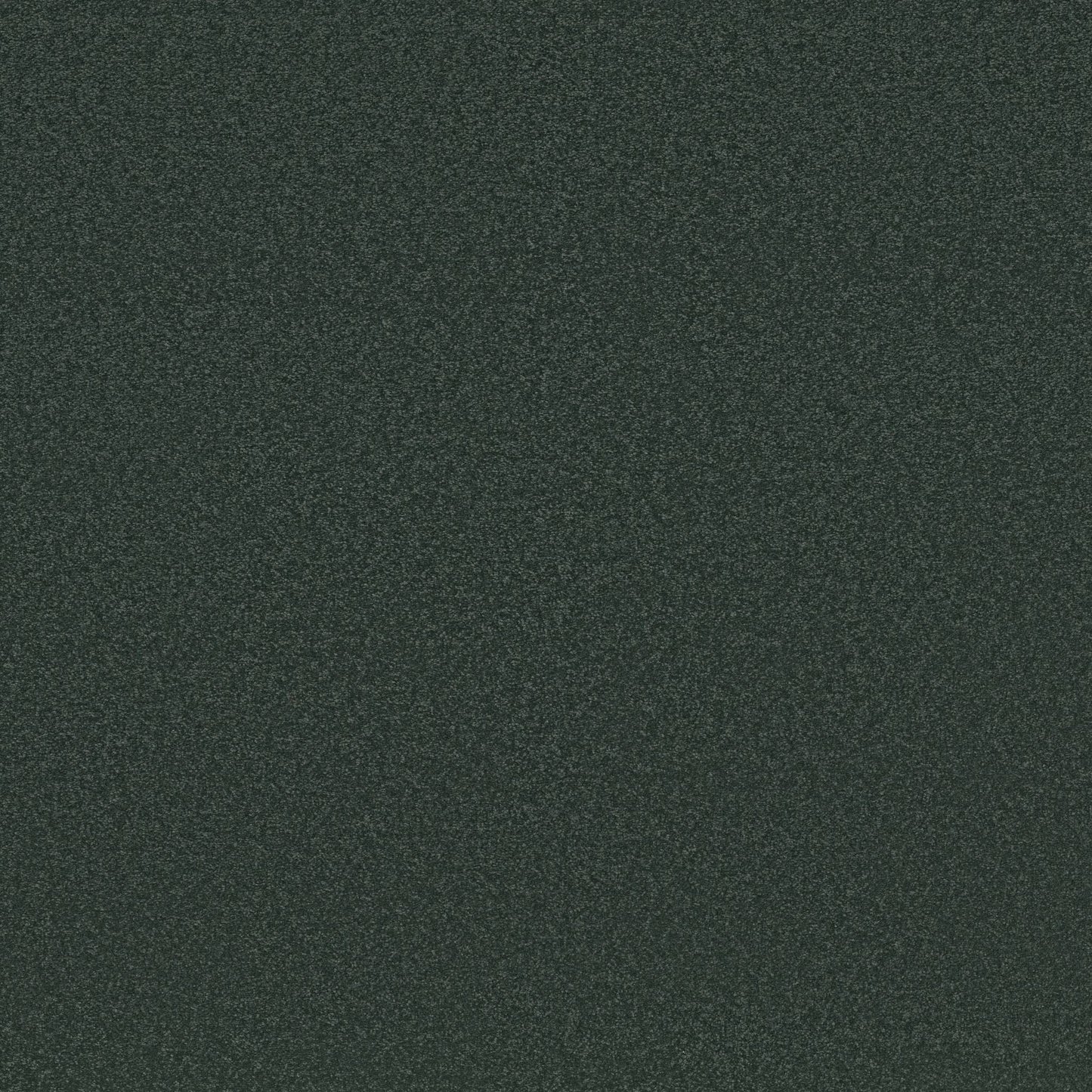 TEXTURE BCF