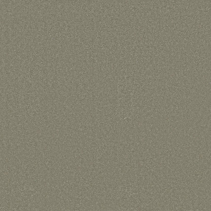 TEXTURE BCF