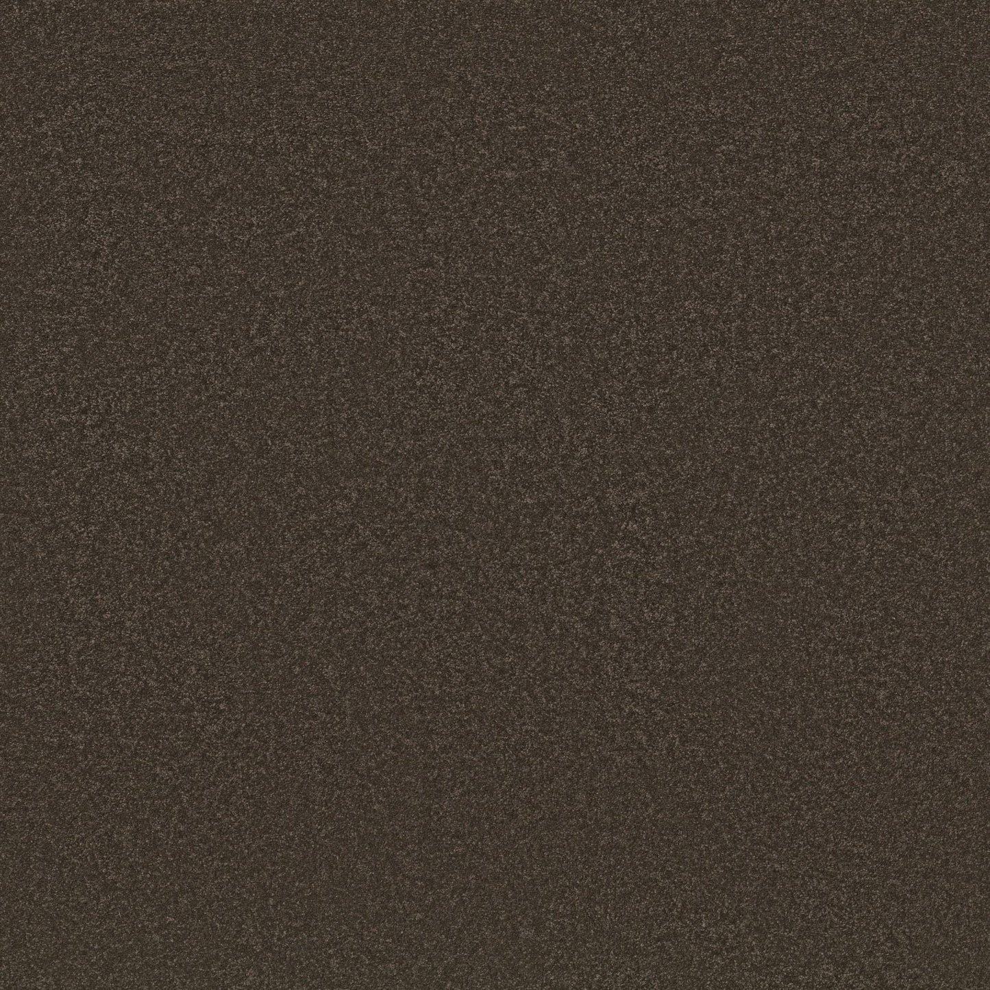 TEXTURE BCF