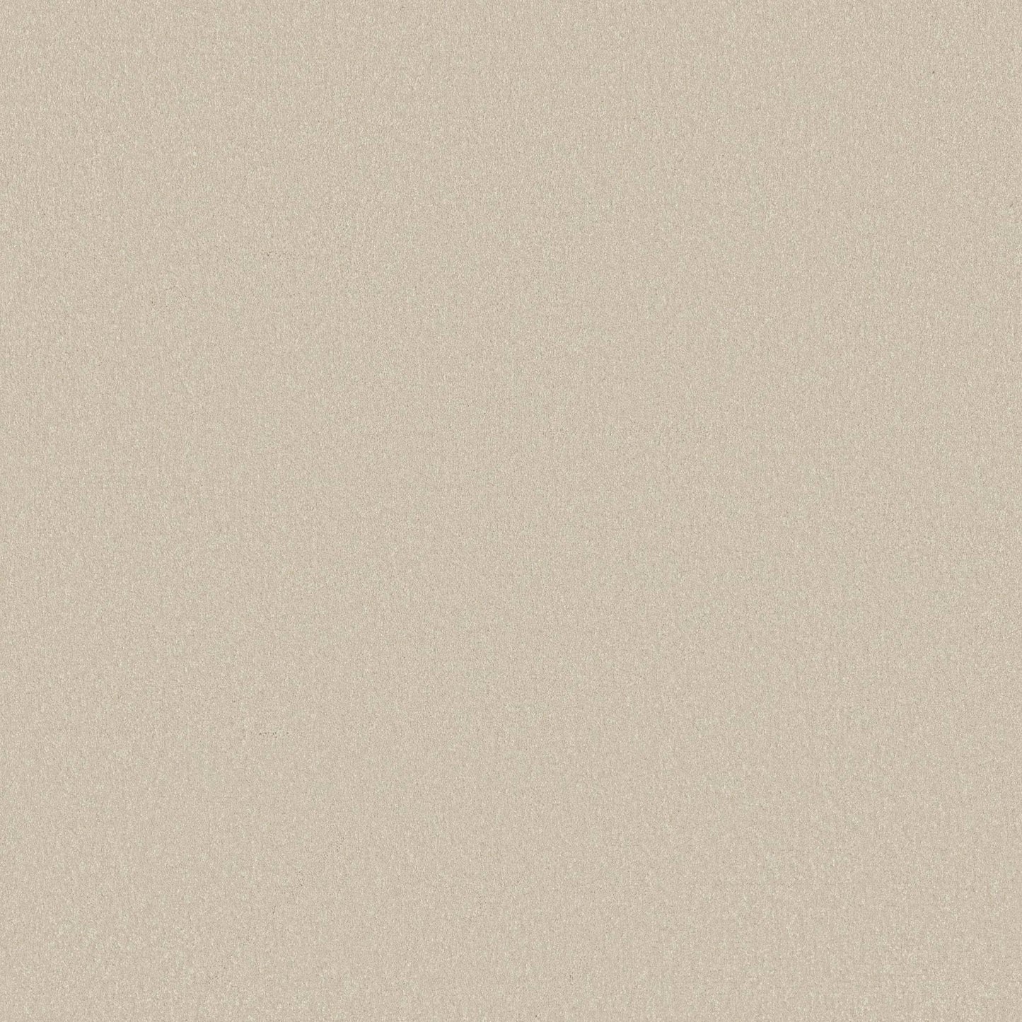 TEXTURE BCF