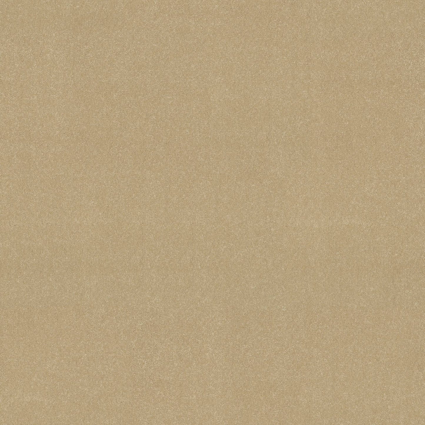TEXTURE BCF