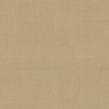 TEXTURE BCF