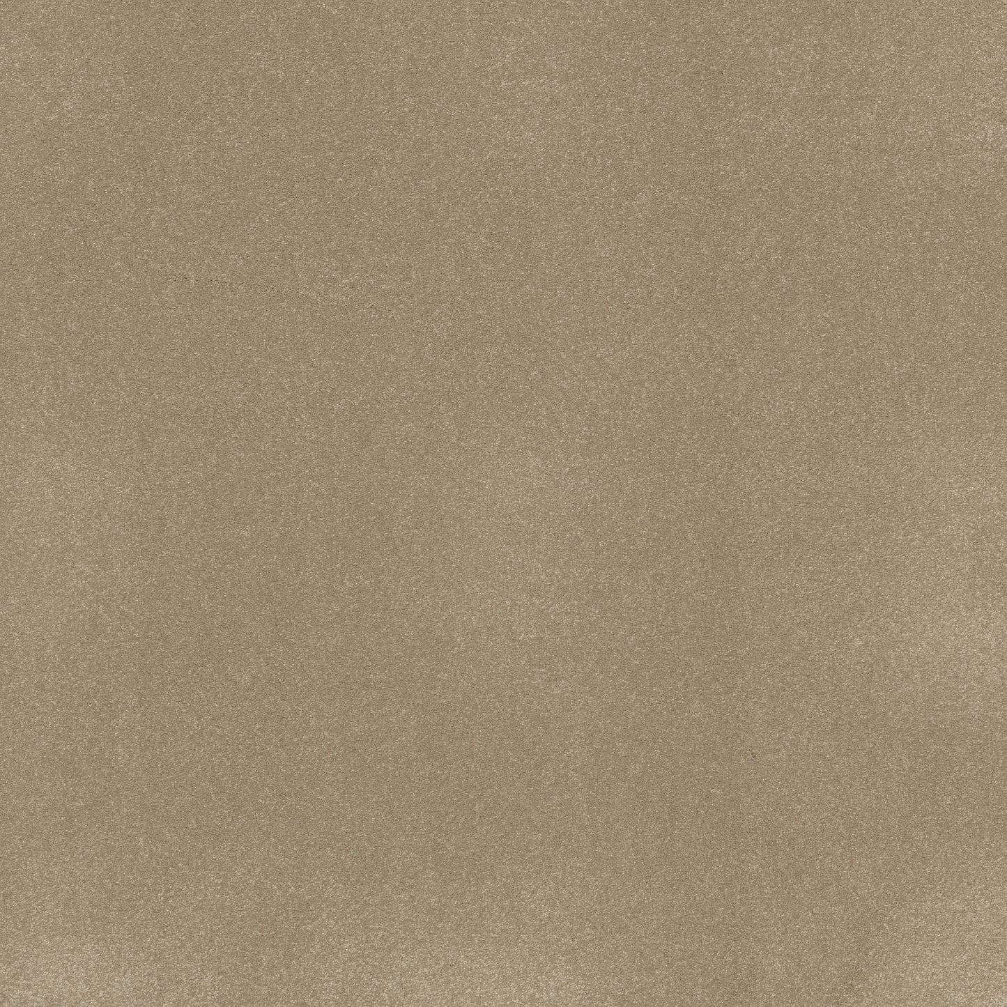 TEXTURE BCF