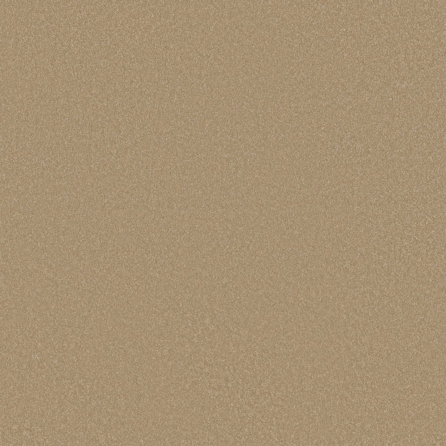 TEXTURE BCF