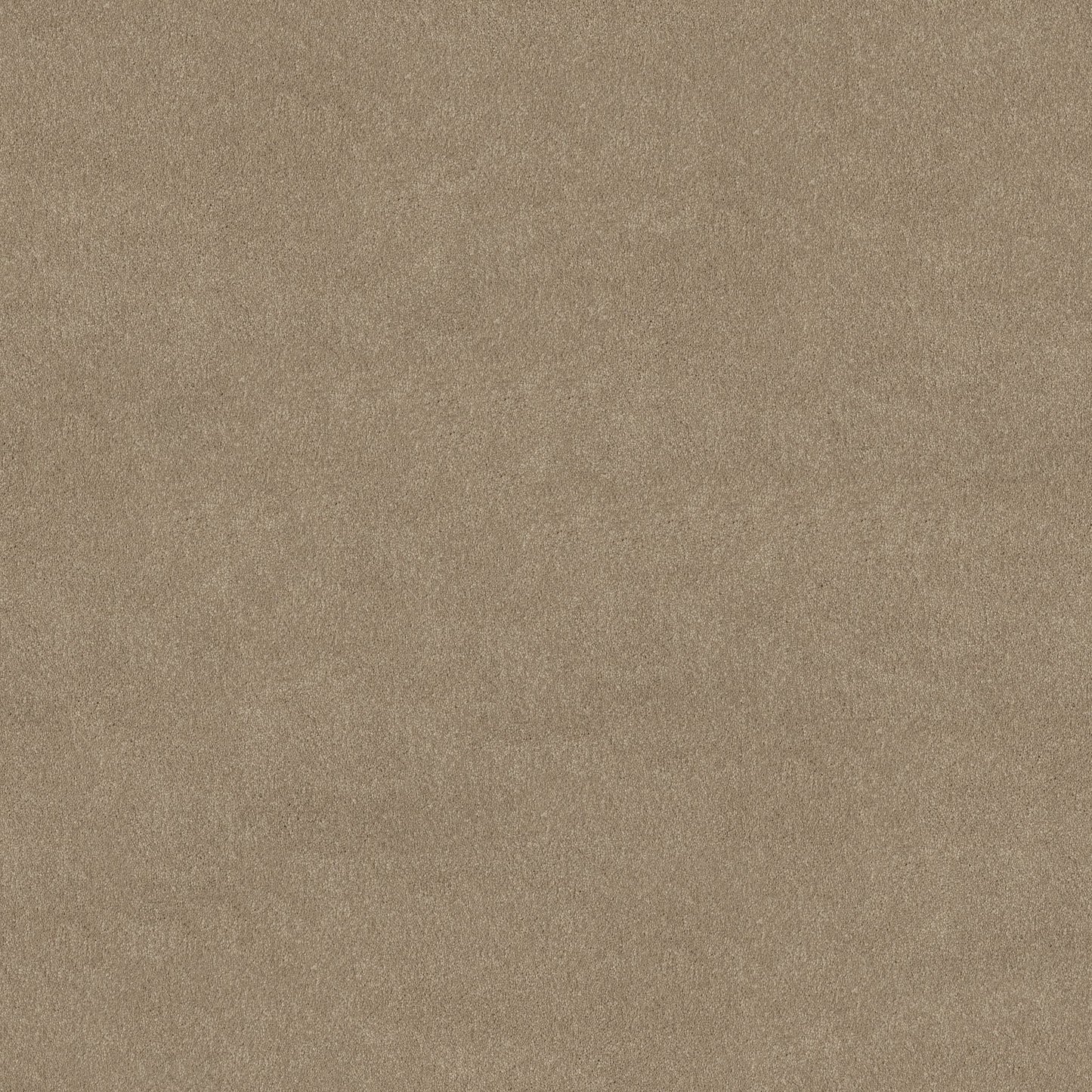 TEXTURE BCF
