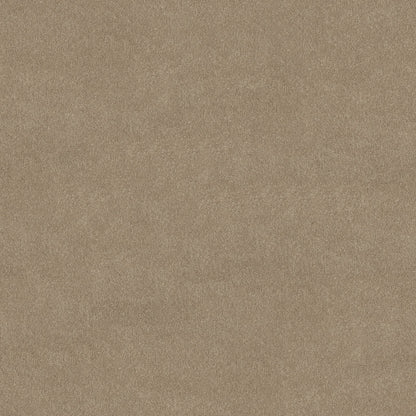 TEXTURE BCF