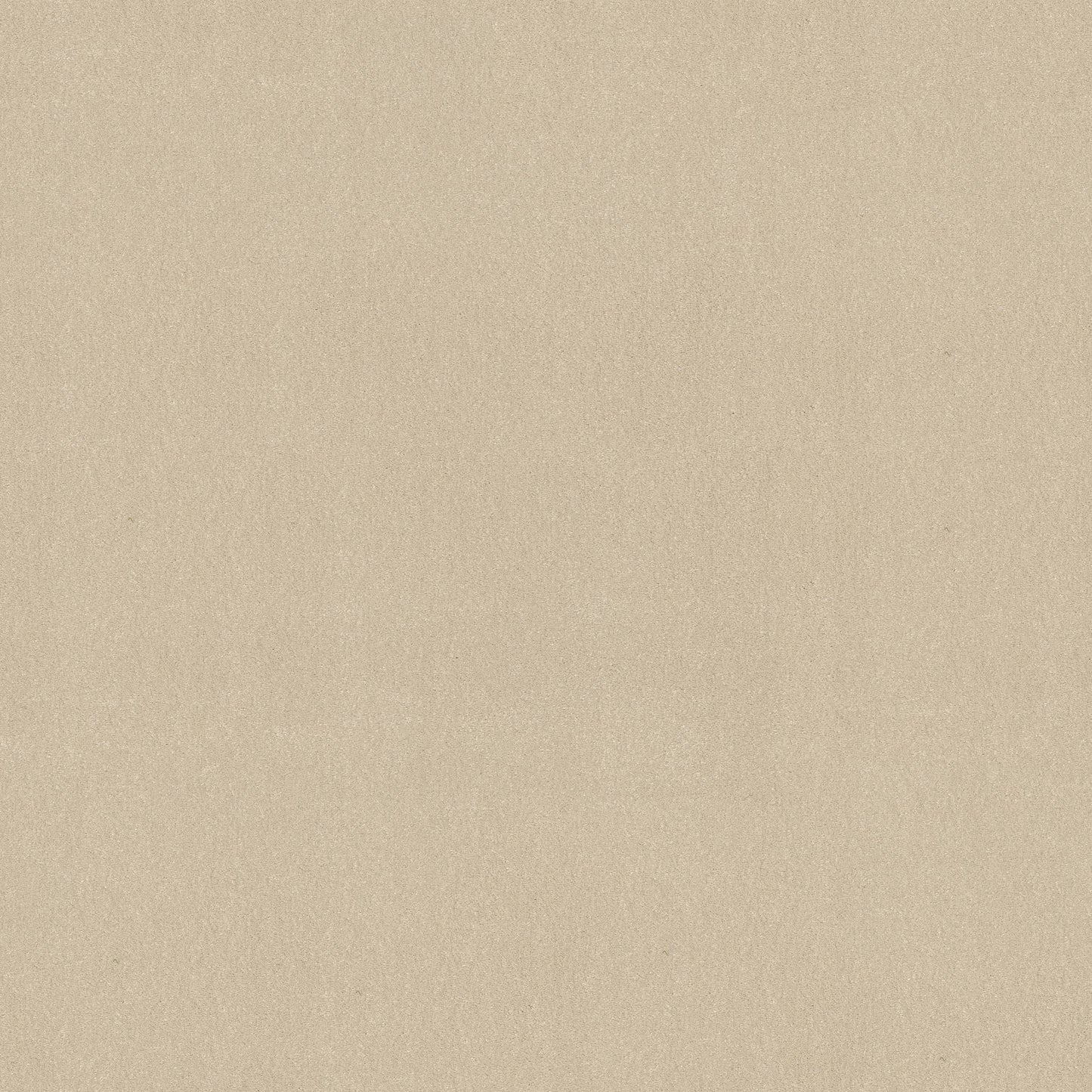 TEXTURE BCF