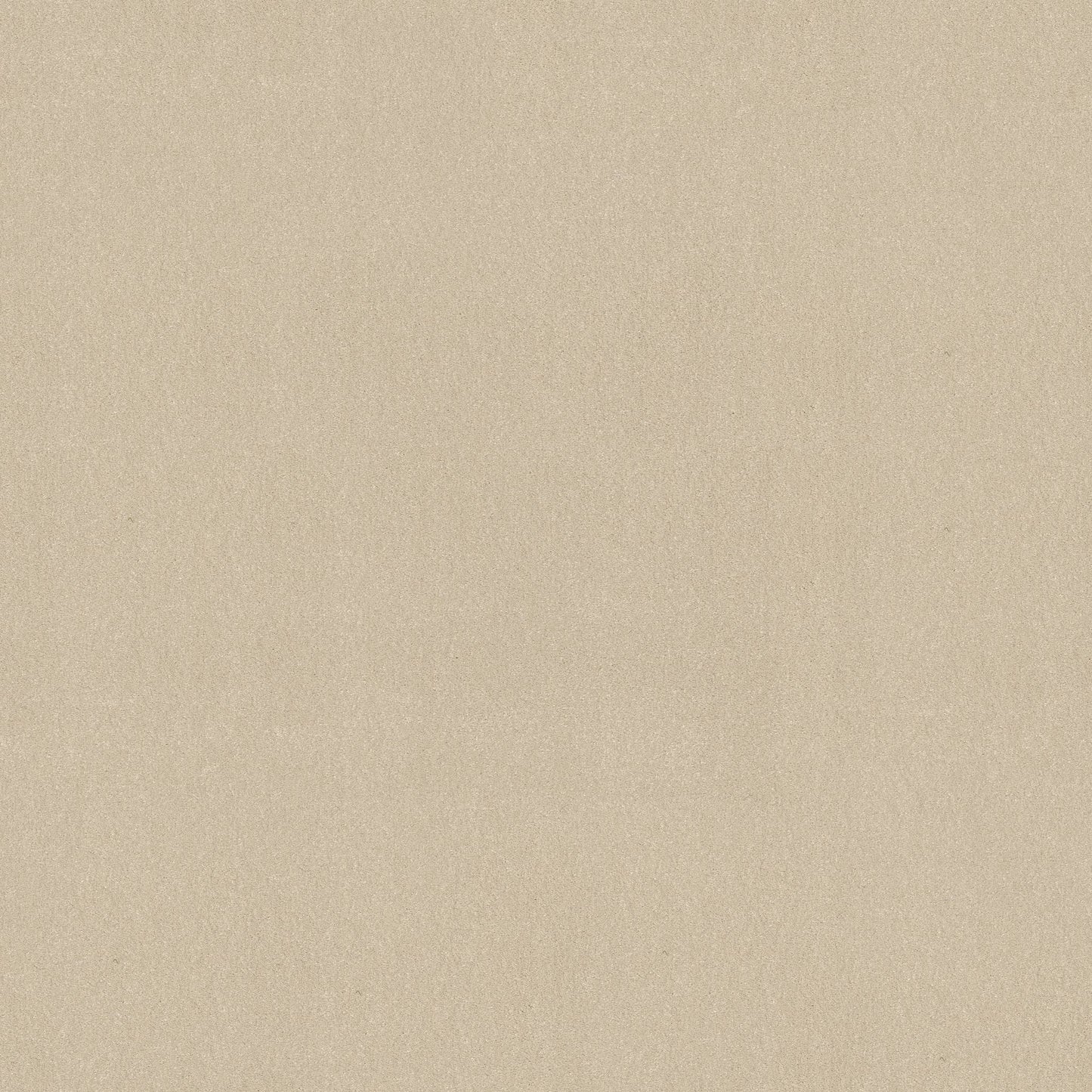 TEXTURE BCF