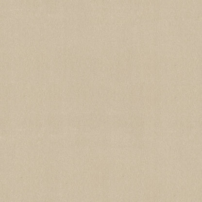 TEXTURE BCF