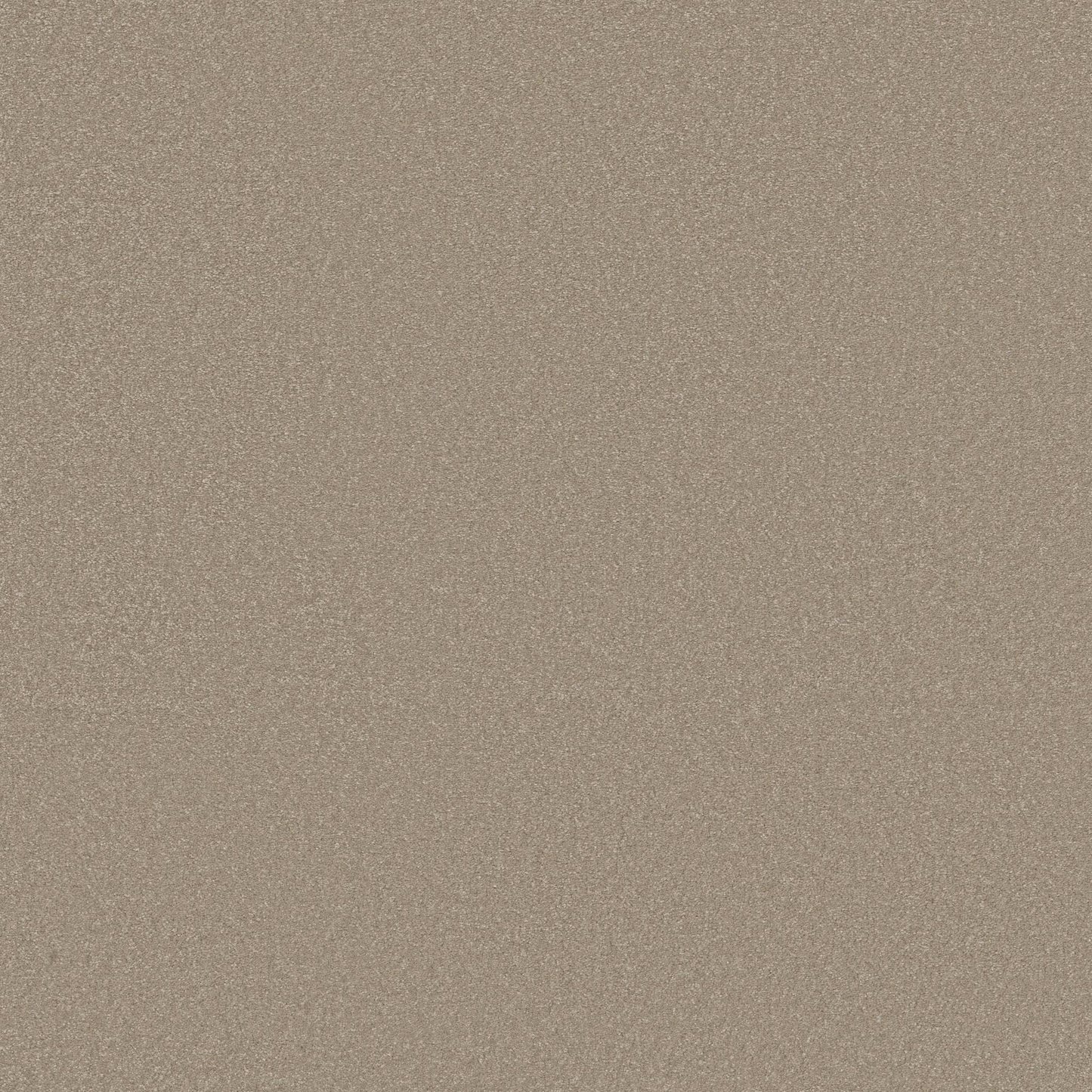 TEXTURE BCF