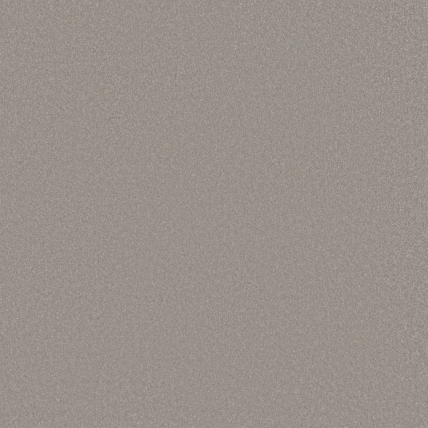 TEXTURE BCF